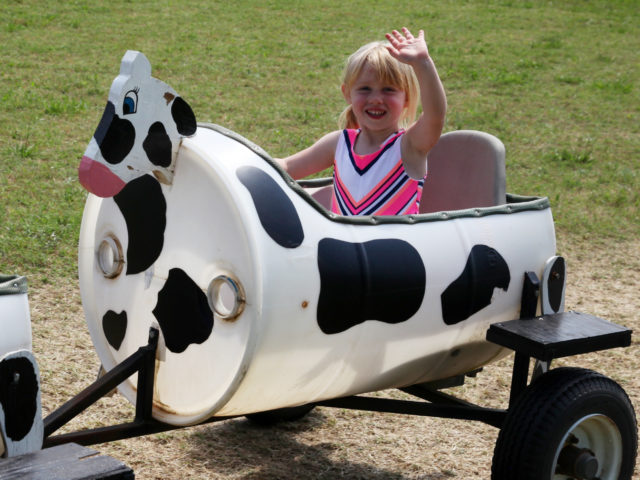 Girl in cow ride