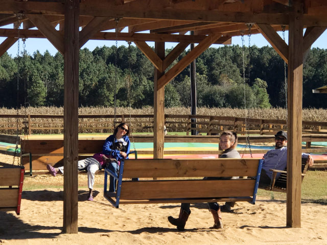 Covered Bench Swings