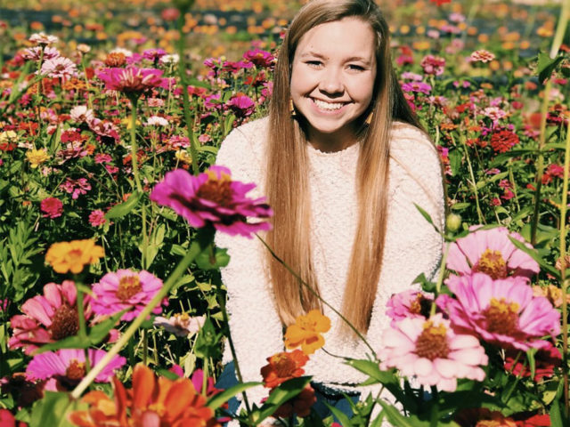 Zinnia Field