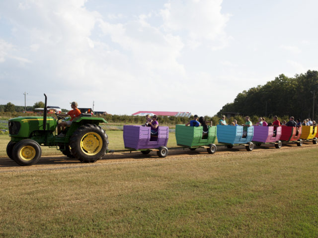 Grain Train