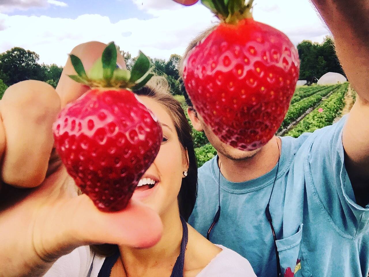 Couple Picking Strawberries