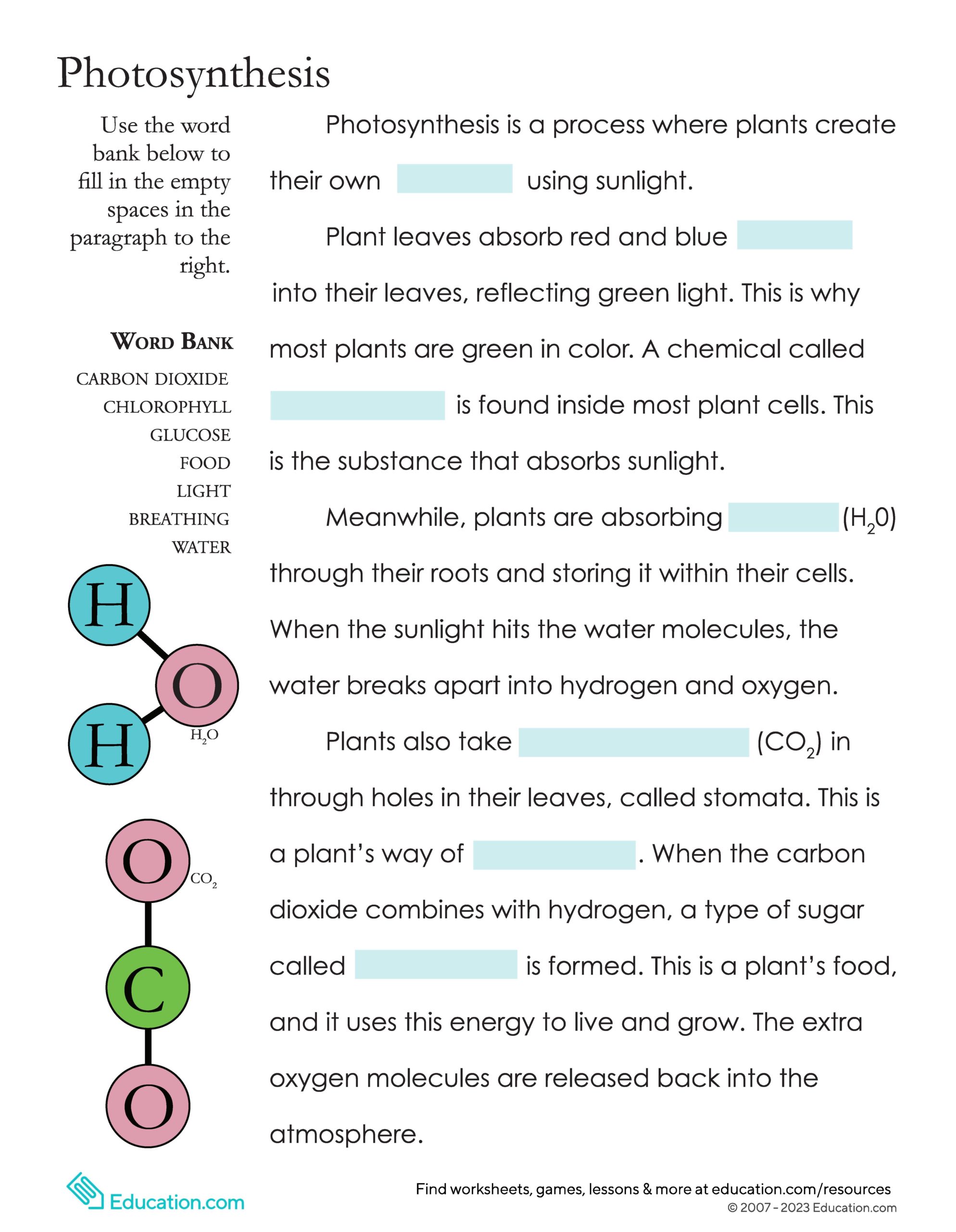 photosynthesis fill in the blank worksheet image