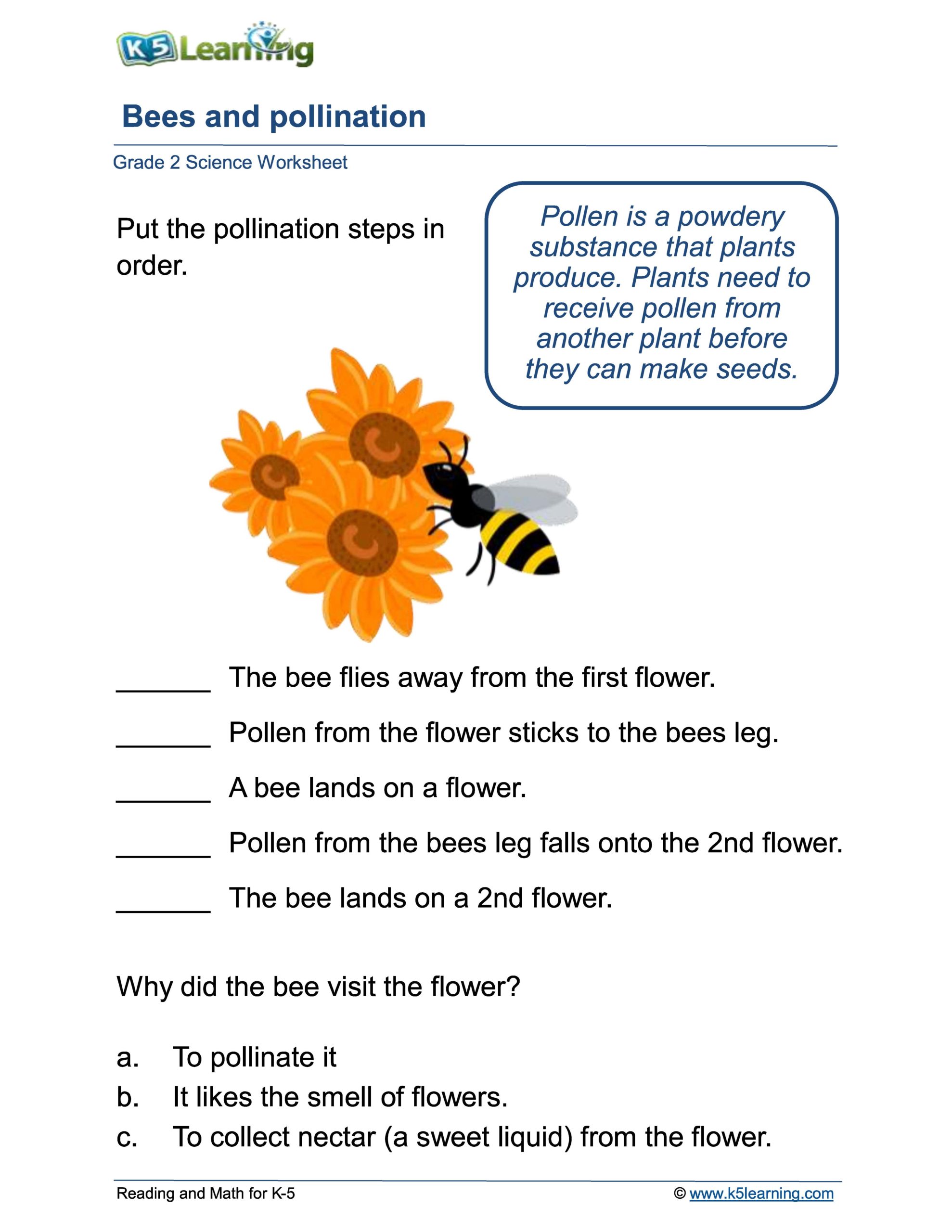 Bees & Pollination worksheet image